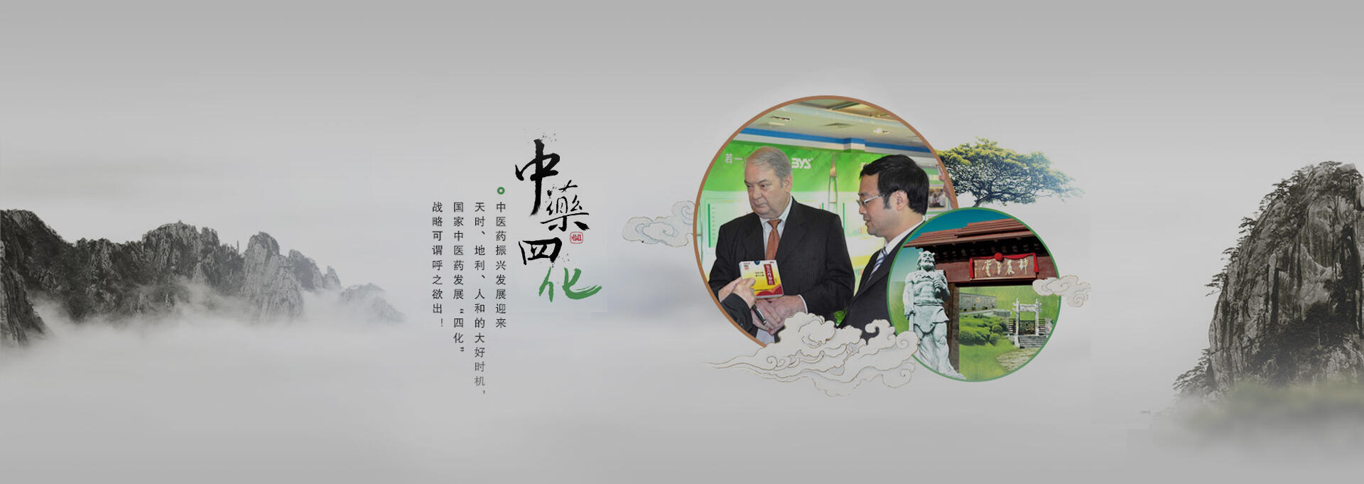 阿里建站-若一医药科技