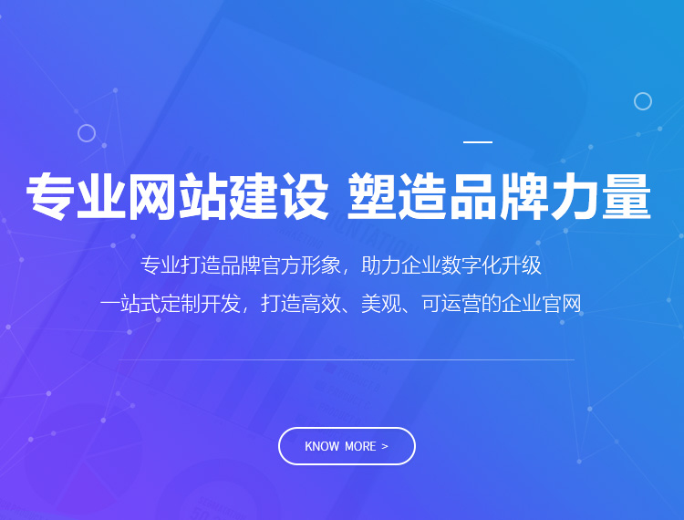 阿里建站-专业网站建设 塑造品牌力量